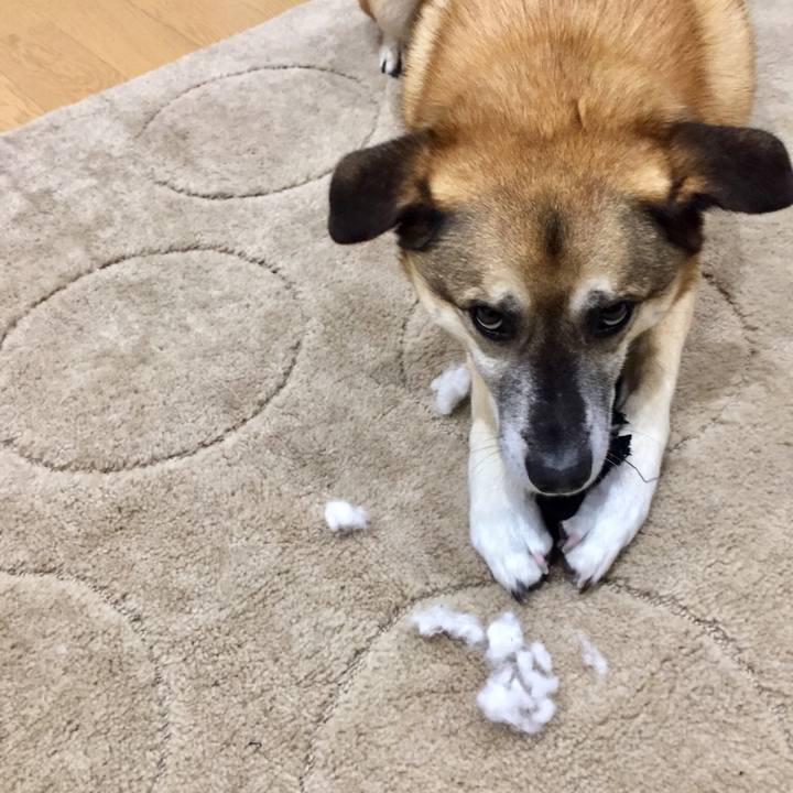 D39d4120 b45b 4547 97e8 0119323001db 1521542401465