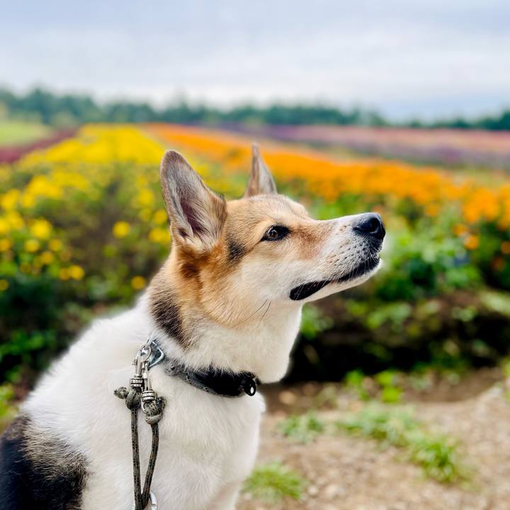 D39d52c2 b3ca 46b5 90b8 8e75ede4bed6 1759459034141