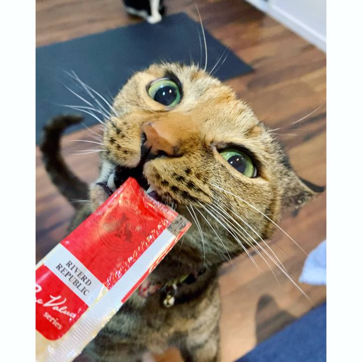 D39d60a5 146f 420f 806c bda3992fc7c0 1638920024297