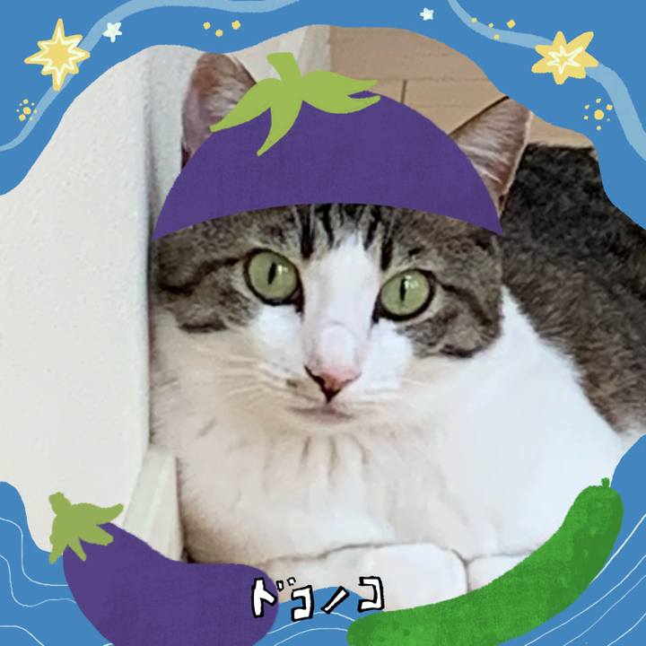 D39d6215 0b0e 40cd b52a 67637e2cda4b 1755346150063