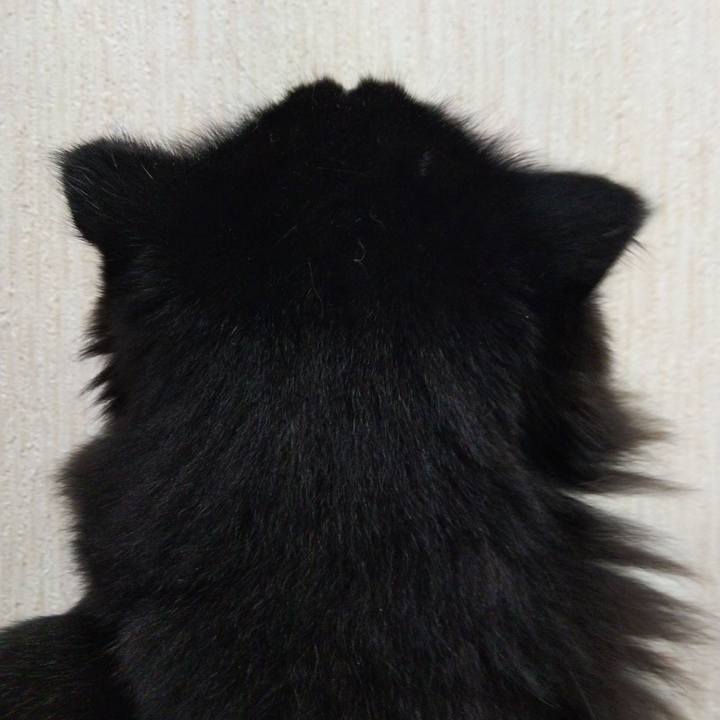 D39d89a3 6fe4 450c b6d2 dc56f1607a16 1650713325634