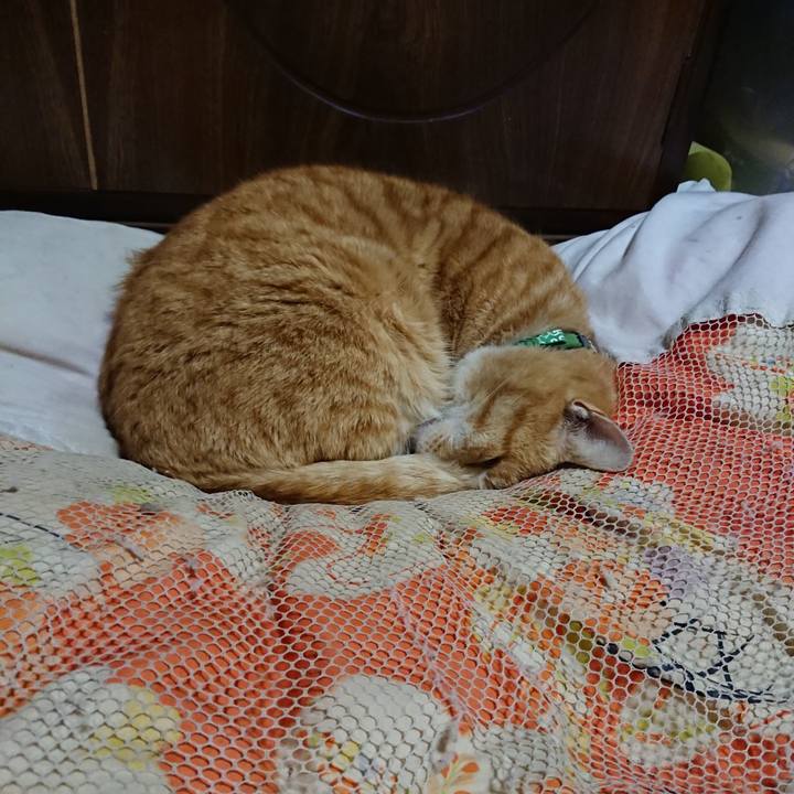 D39d985a ee4e 49fa 916c 0e157ee36dbb 1584188075686