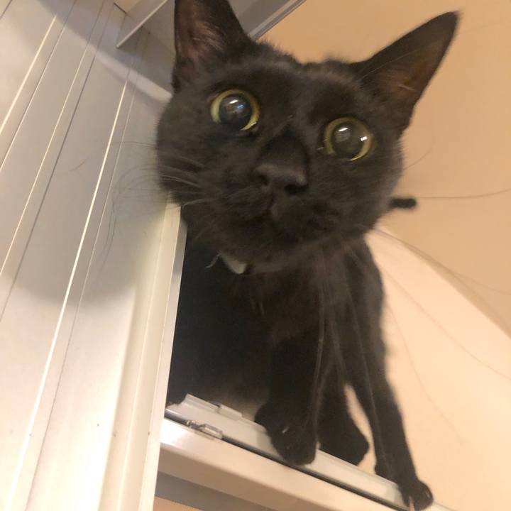 D39dc98f 4b9a 4fe4 8c72 0f3da37ae433 1569934606484