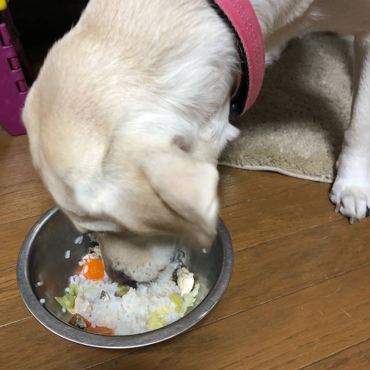 D39e0f9a 1c37 409f 94cb 8e0461ab5de5 1576184024350