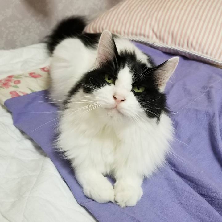 D39e2283 479d 4e64 b606 35c8ac646dfe 1597616694469