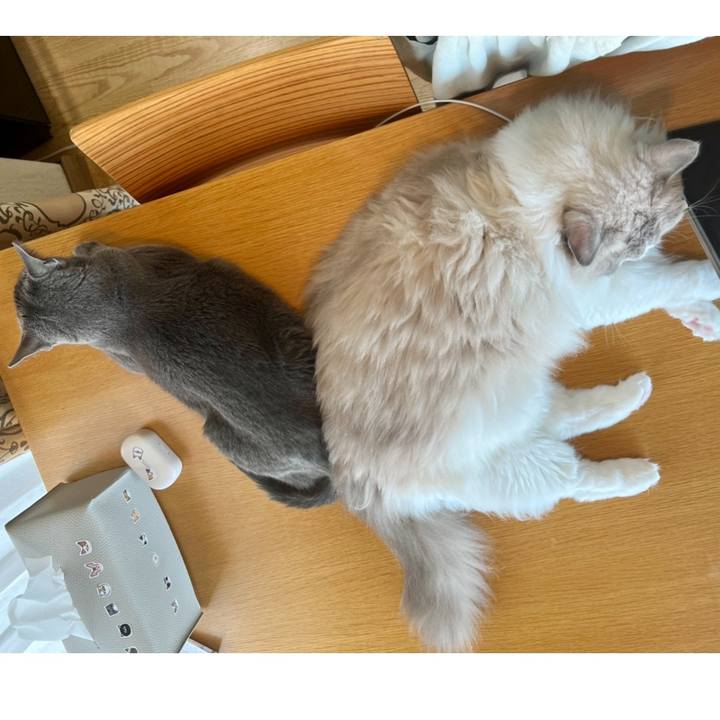 D39e3599 a033 460a 8075 409181aecc35 1661990433171