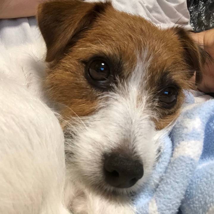 D39e3cf4 59c3 4c95 96b0 fd57d18f8730 1534076287799