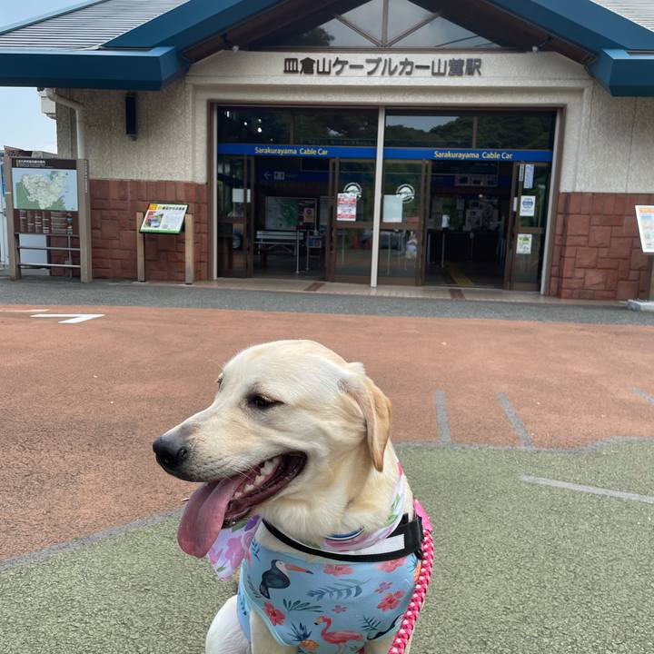 D39e541d 163e 471a bb07 1ed47c443654 1627536206692