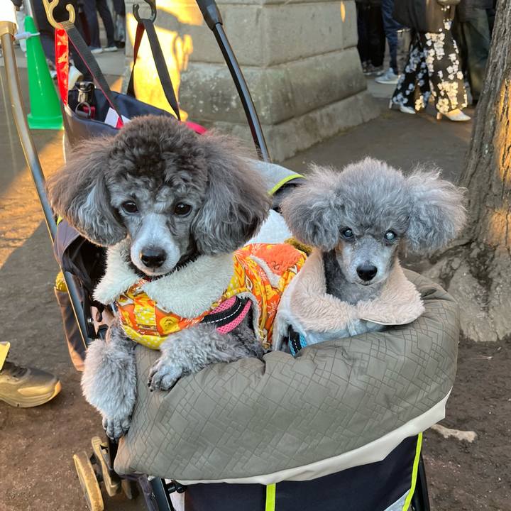 D39e7338 208e 4614 bc56 18d82a4e4e11 1767666175149