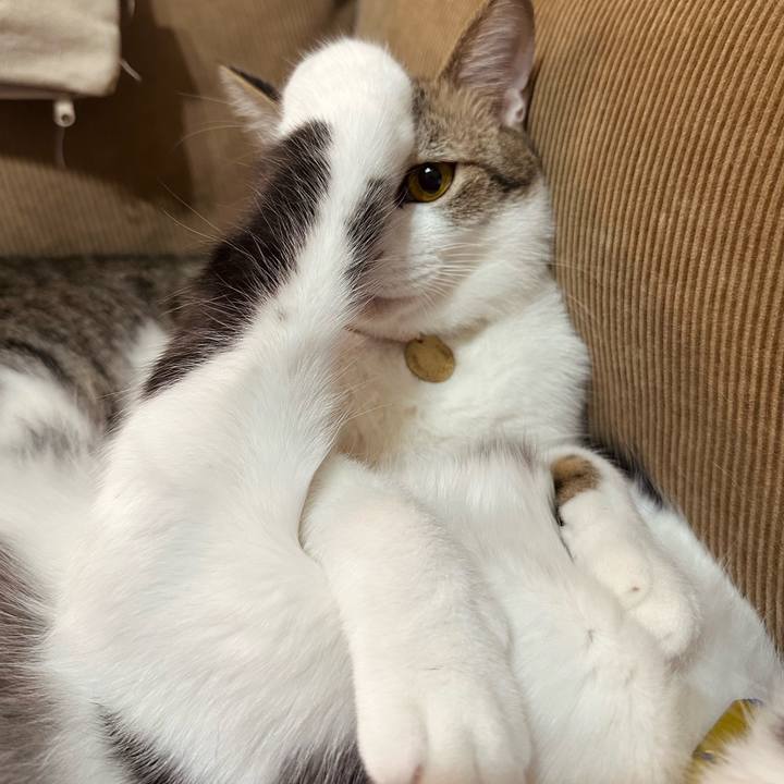 D39ece52 0ba4 4540 9f42 d00ca25d652b 1776076307516