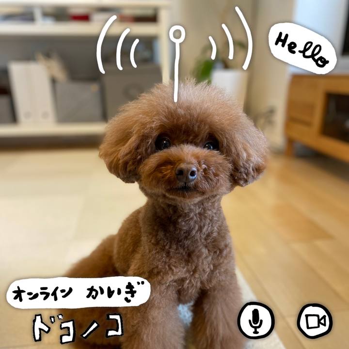 D39eeee0 eb1a 4137 b51c 2e6072aa34b4 1590893053789