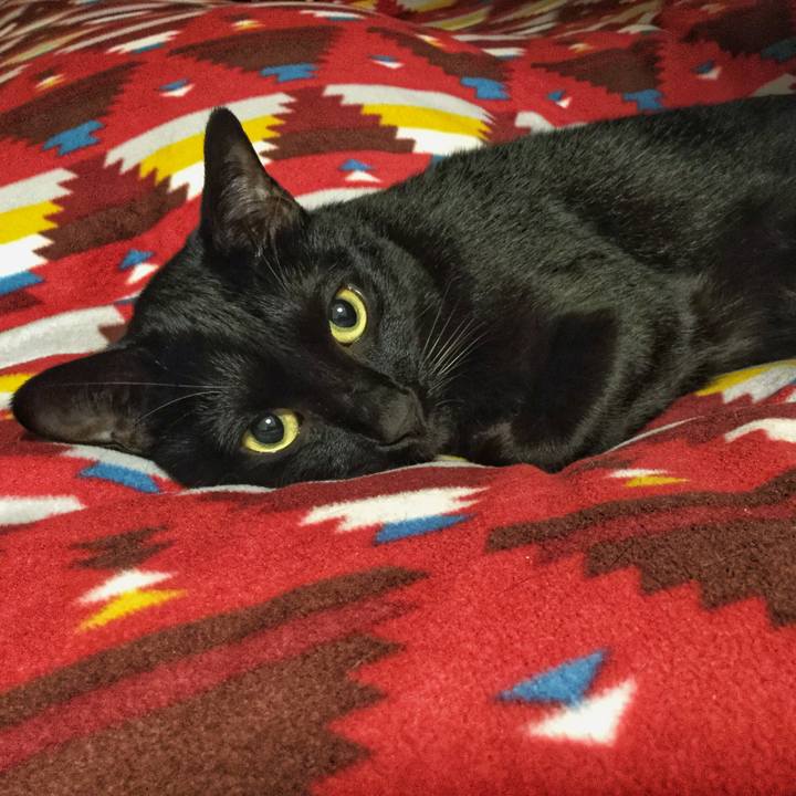 D39f2354 8b8c 4f1f 88e6 6a95e63d268a 1520513611401