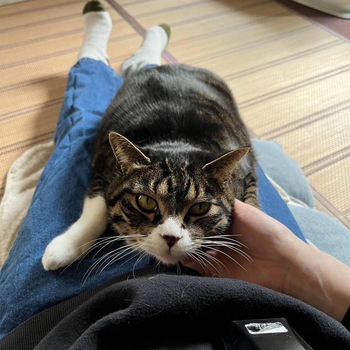 D39f462d f762 466b a80d 6bf75ce1dc0d 1775689060530