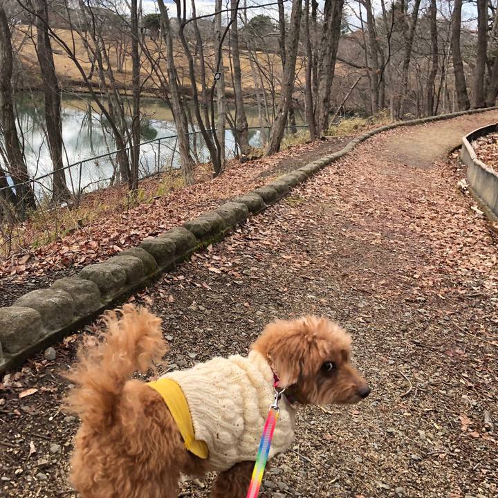 D39f4dd0 4cd2 44ea b9c8 90869efb2fc4 1550716074515