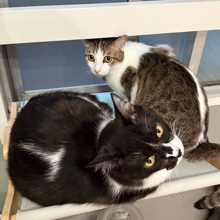 D39f59c6 be37 4080 994c a85343d008be 1776073790096