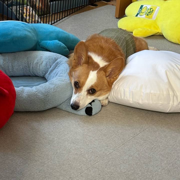 D39f5c76 1445 4404 8750 2e8977e95f66 1764379667820