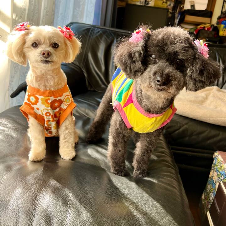 D39f6685 5510 48c8 b75a cb50e0d8bbb9 1773122997998