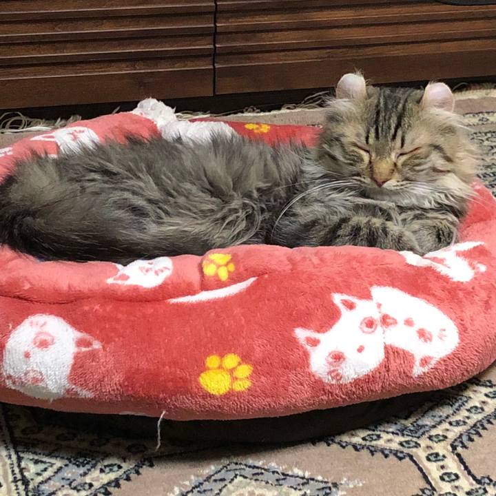 D39f75e3 4df8 485f 94cf fc5a350cf3e1 1525872815461