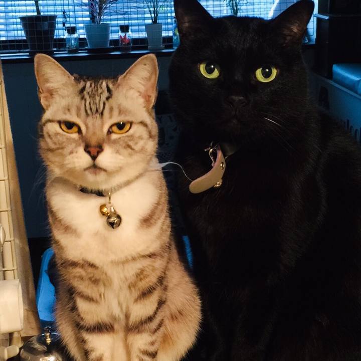 D39ff0fe d91b 4d05 b236 264e5bd736b1 1547271751092