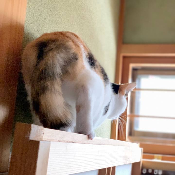 D3a00aa2 0421 4014 aa55 bc0e556f9561 1538359923823