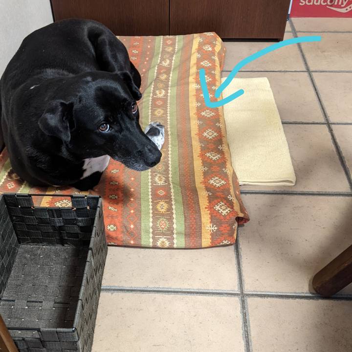 D3a05bbe 3f05 4a7b 81b8 20de814cae8e 1665106598886