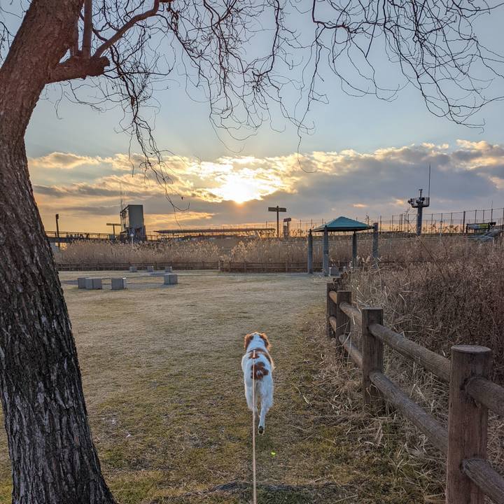 D3a0ac84 e0c7 41f0 89d7 02ddbbbc4b8d 1644233240611