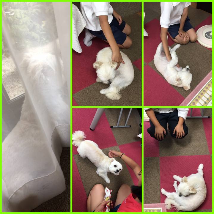 D3a0e04c 021b 4d15 b759 a41f68fa5498 1561020038727