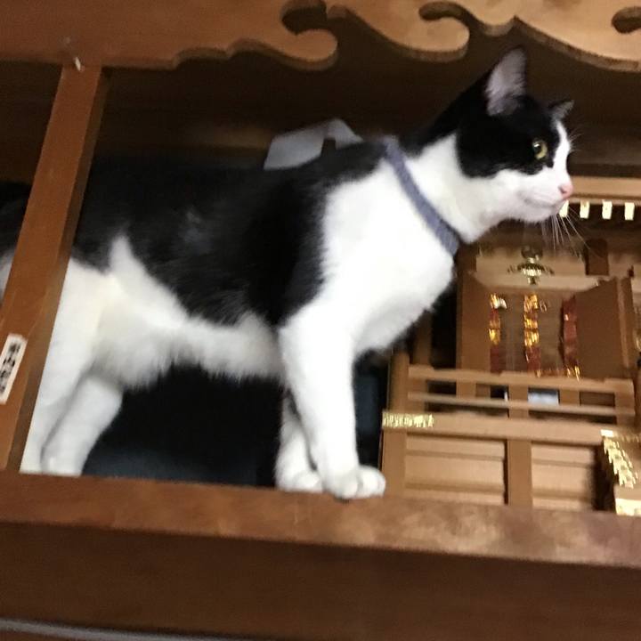 D3a0f00d ae7e 4f76 8f7a ba382f822255 1669897862074