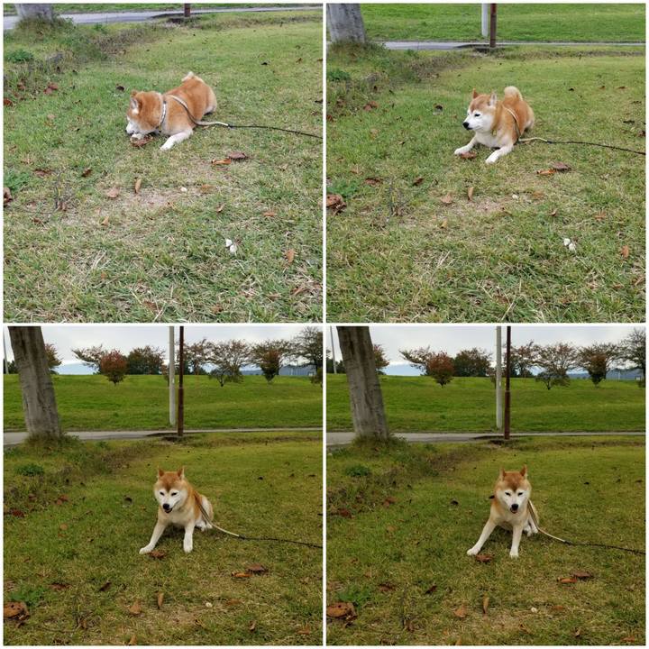 D3a0fa50 4381 4420 a1ce 379b6b255f50 1665639694360