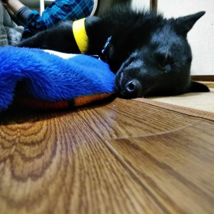 D3a10407 b5b9 402d 81bd b25799f83e13 1581852238578