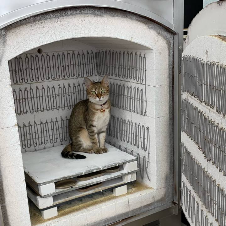 D3a12a5b 2208 435e b069 365446b95806 1691673598142