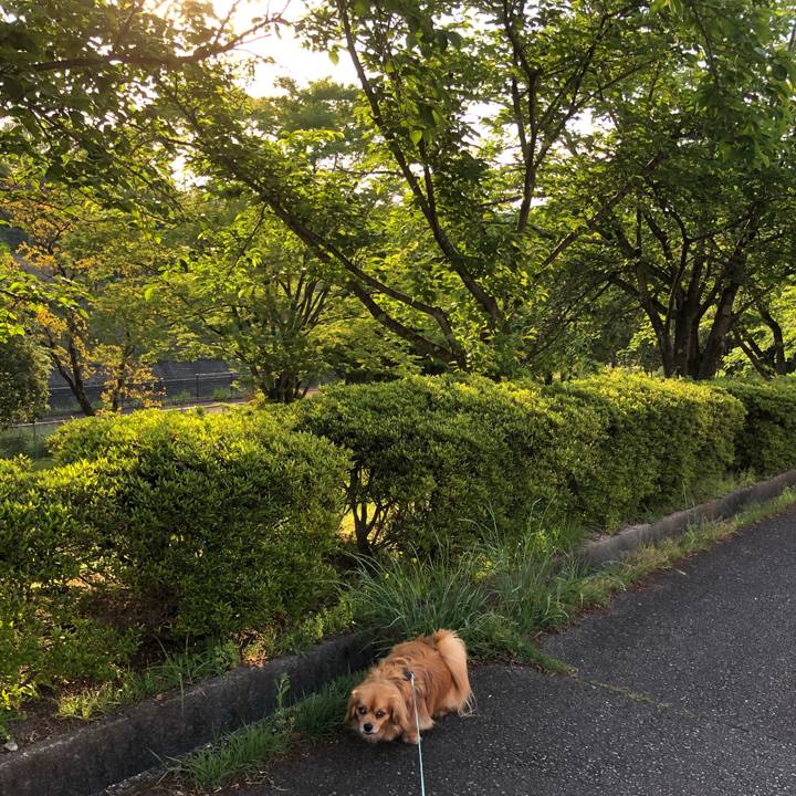 D3a1357f 875a 4380 b089 348338a8c3e9 1557550358747