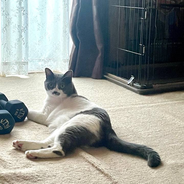 D3a1d35e 7498 4e54 b228 cc23e97201ff 1678437704365