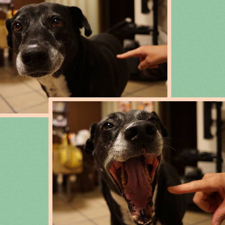 D3a1db41 7a7a 4e1f a252 20f8c1fcdf4d 1759756685654