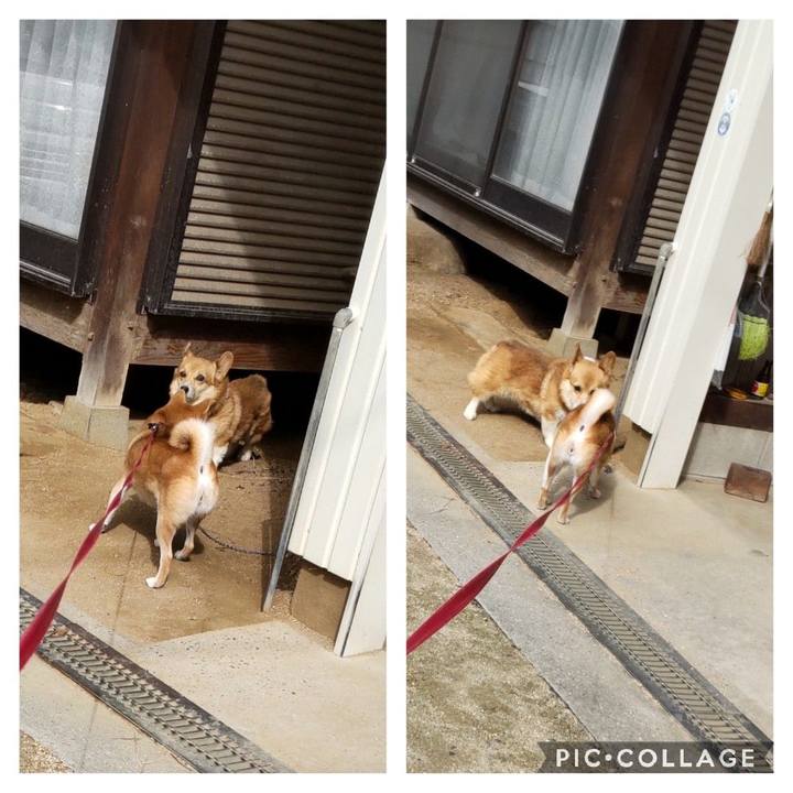 D3a1eb66 3f84 4340 ad67 1fcb5168b25f 1666091228864