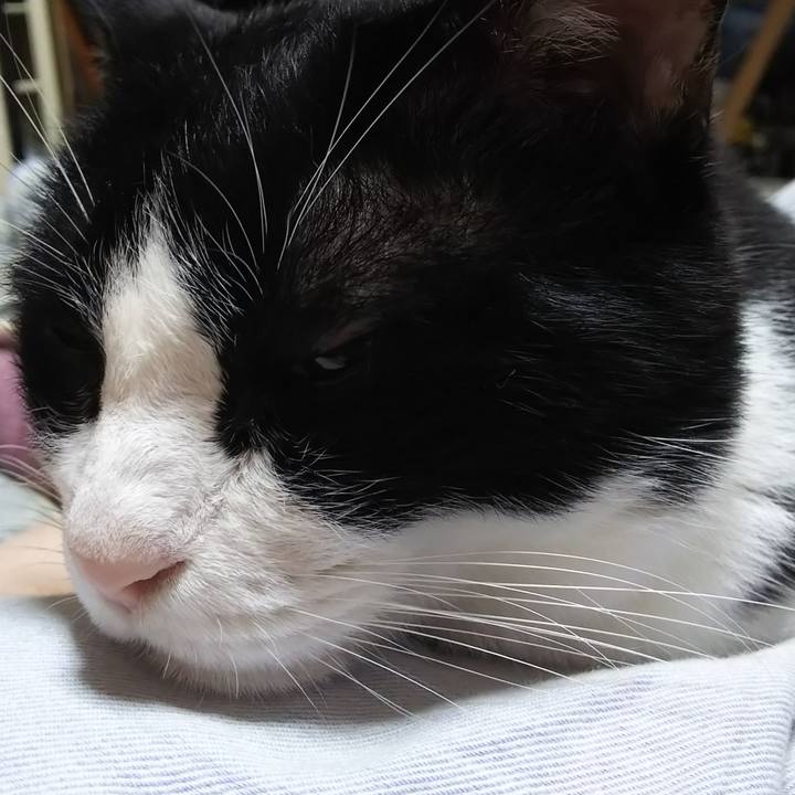 D3a1f0f0 8aea 44af be36 d7d6cdec6bc4 1593346052925