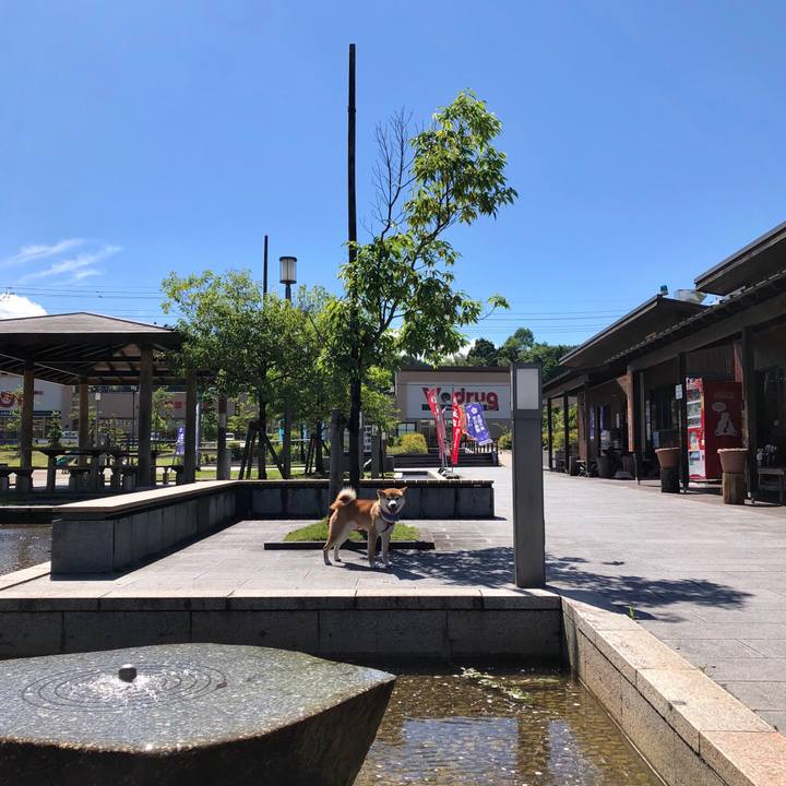 D3a2017d 40c2 45b2 8dbd ca240c6f3aaf 1529302501903