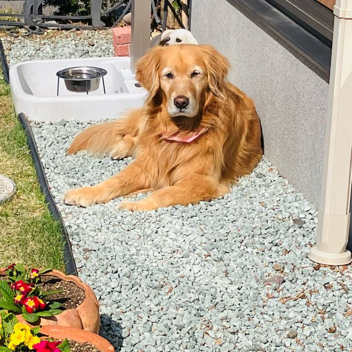 D3a21377 ba72 4ebd 8c4c 064091bc0a97 1746077418371