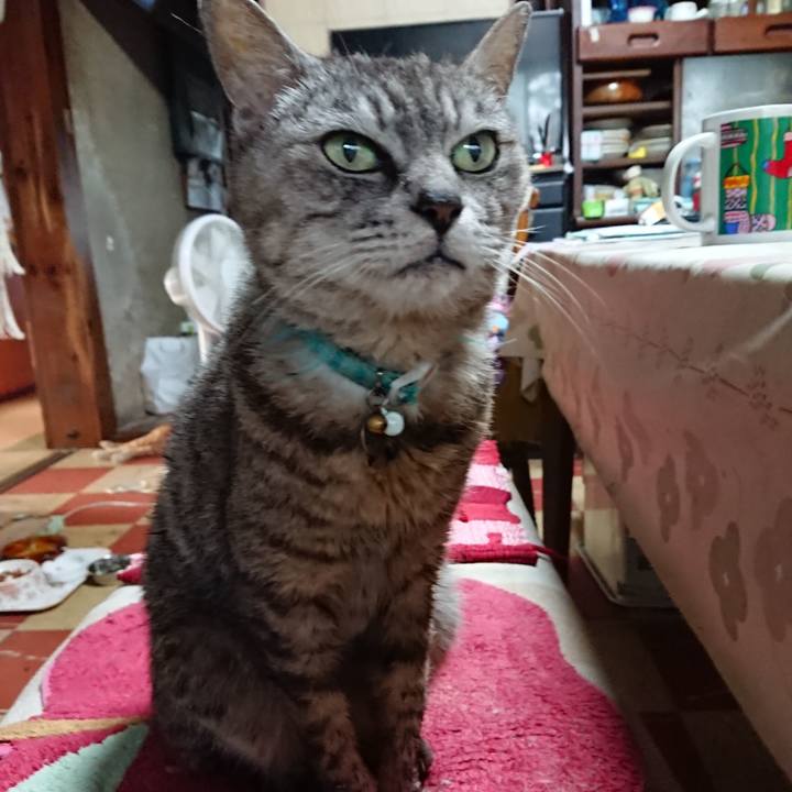 D3a24d6c 20ac 4a22 a3f1 6d56f986ee43 1564863794609