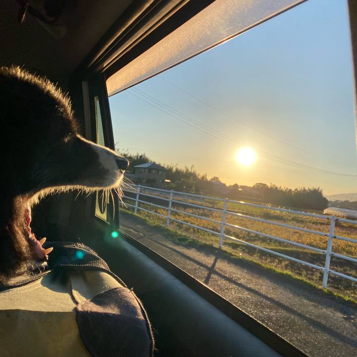 D3a24df5 7720 4745 9e65 8965939481c3 1666735579682