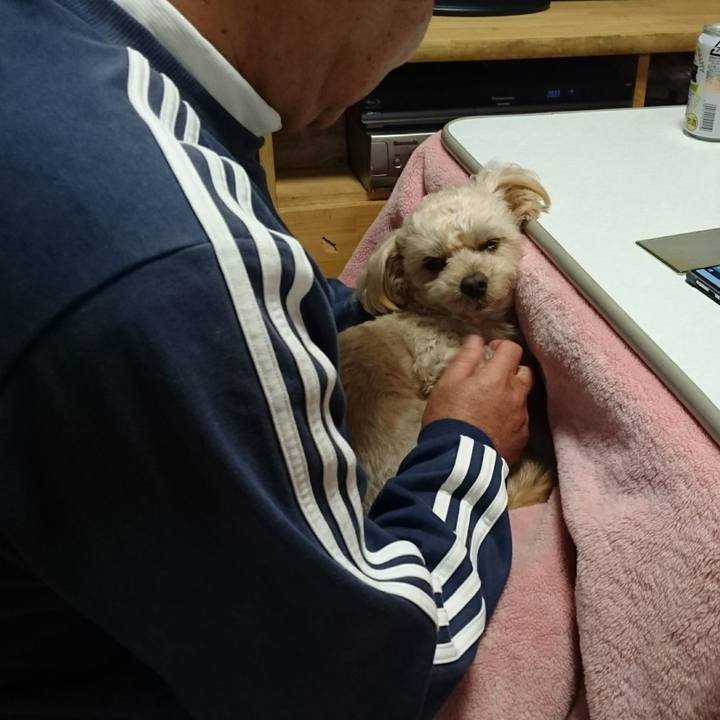 D3a2508f 3ff6 424c 809d 513427d78429 1573475922149