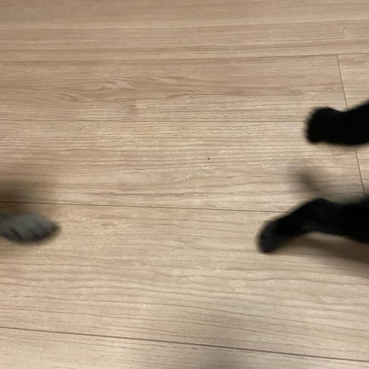 D3a29415 9f15 42b3 a1e9 60e94dc909da 1615073685067