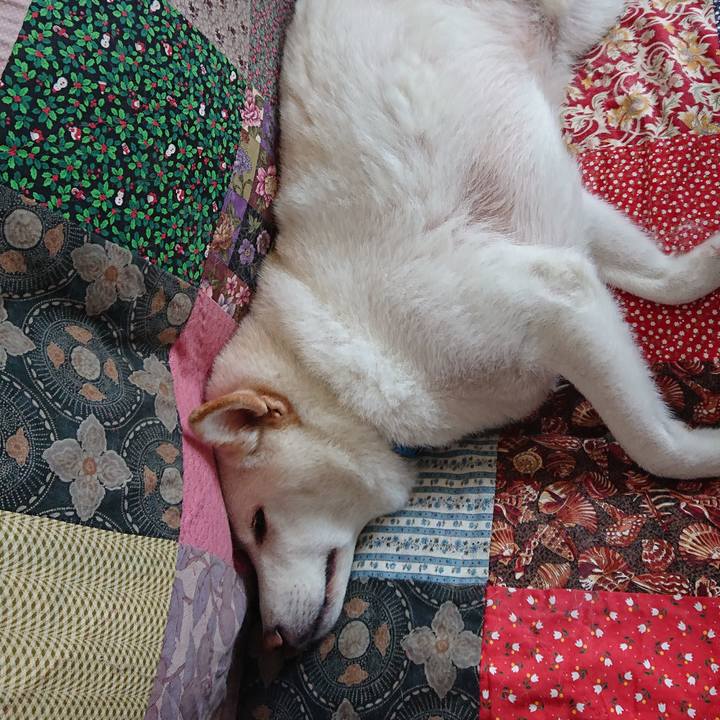 D3a2be33 43b8 47ea b367 79851c9d2c1f 1599283930324