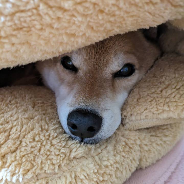 D3a2df71 27fe 4040 9aee 225735f162a2 1701099646216