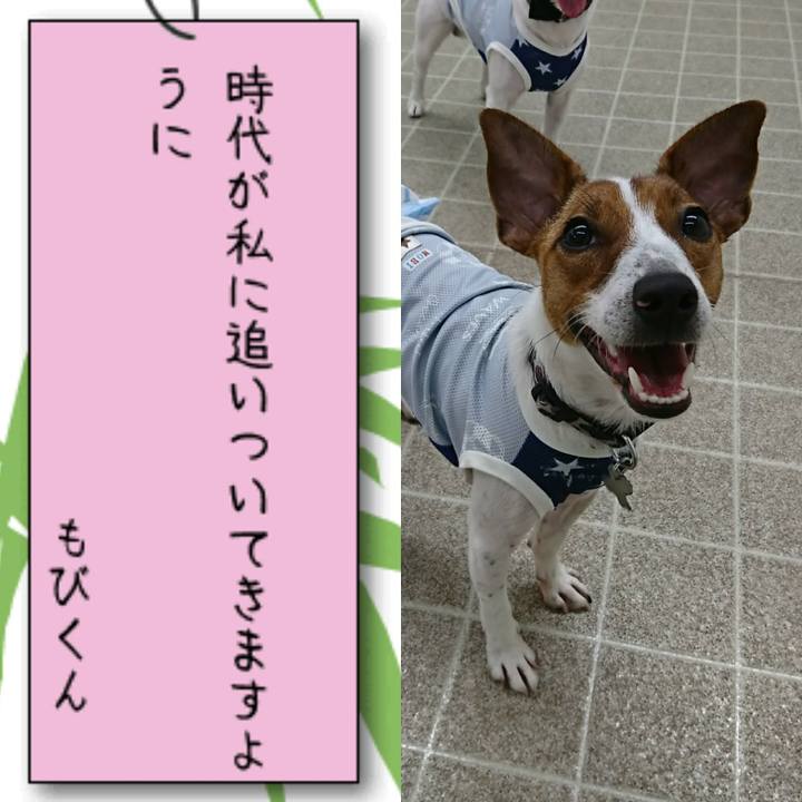 D3a33267 da4c 40d1 9606 aef0387c4a27 1531002189269