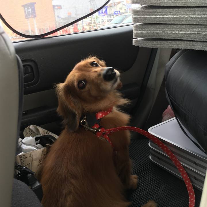 D3a33964 2b56 4fdf a34b 9c20aa643028 1588506783353