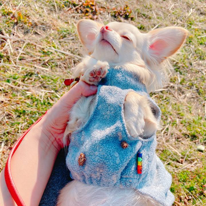 D3a377b9 919f 42db 9ceb ec1228136ccb 1644304271124