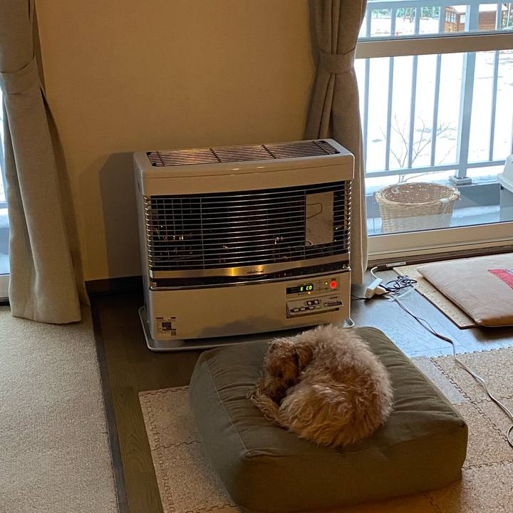 D3a3791a 060a 424c ad0b 21f413a5bbc2 1702592813521