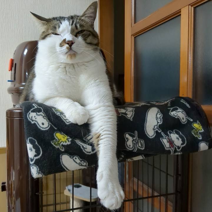 D3a38656 216a 41f5 adbc 104997c3ff1f 1681554012239