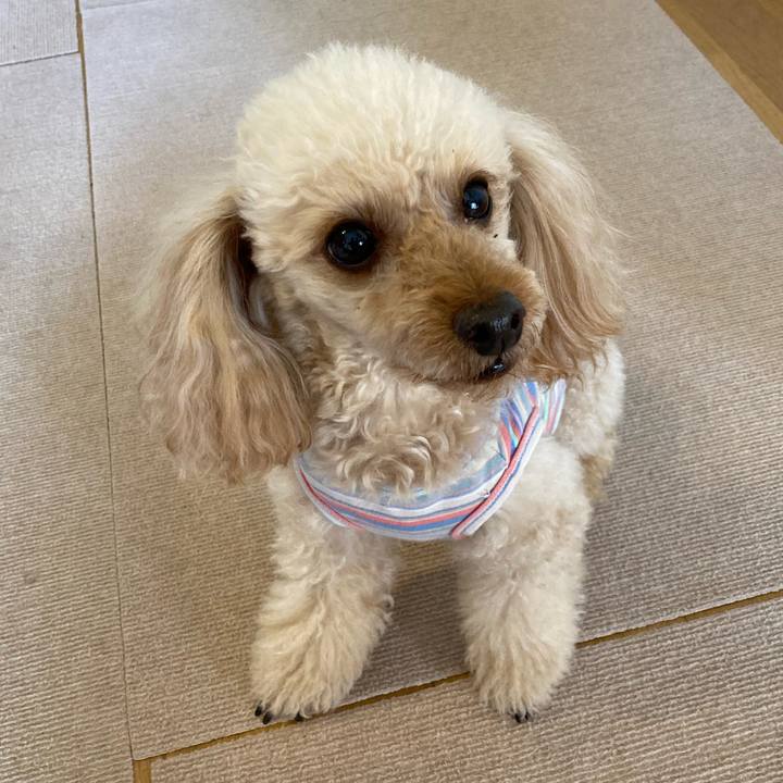 D3a3957c 6d88 42f7 8b12 30eceafc67c0 1640833757281